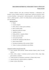 Turto apsaugos paslaugų galimybės ir trukdžiai 11 puslapis