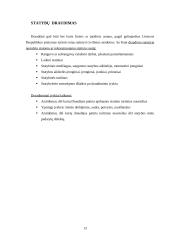 Turto apsaugos paslaugų galimybės ir trukdžiai 13 puslapis