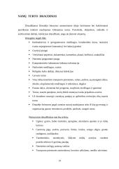 Turto apsaugos paslaugų galimybės ir trukdžiai 14 puslapis