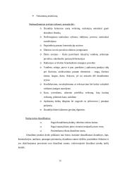 Turto apsaugos paslaugų galimybės ir trukdžiai 15 puslapis