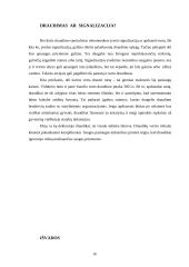 Turto apsaugos paslaugų galimybės ir trukdžiai 16 puslapis