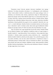 Turto apsaugos paslaugų galimybės ir trukdžiai 17 puslapis