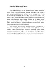 Turto apsaugos paslaugų galimybės ir trukdžiai 4 puslapis