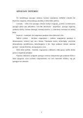 Turto apsaugos paslaugų galimybės ir trukdžiai 5 puslapis