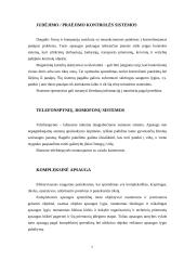 Turto apsaugos paslaugų galimybės ir trukdžiai 7 puslapis