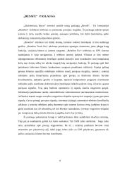 Turto apsaugos paslaugų galimybės ir trukdžiai 8 puslapis