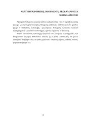 Turto apsaugos paslaugų galimybės ir trukdžiai 10 puslapis