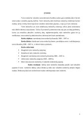 Turto mokesčių dinamika Lietuvoje 2000–2007 metais 3 puslapis