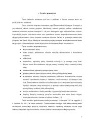 Turto mokesčių dinamika Lietuvoje 2000–2007 metais 7 puslapis