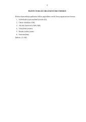 Ūkinės veiklos organizavimas 3 puslapis