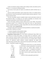 Ultragarso nepageidaujamas poveikis organizmui 11 puslapis