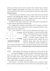 Ultragarso nepageidaujamas poveikis organizmui 12 puslapis