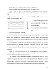 Ultragarso nepageidaujamas poveikis organizmui 14 puslapis