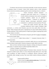 Ultragarso nepageidaujamas poveikis organizmui 15 puslapis
