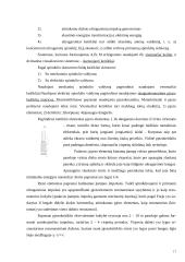 Ultragarso nepageidaujamas poveikis organizmui 17 puslapis