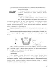 Ultragarso nepageidaujamas poveikis organizmui 18 puslapis