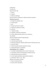 Ultragarso nepageidaujamas poveikis organizmui 20 puslapis