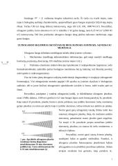 Ultragarso nepageidaujamas poveikis organizmui 7 puslapis
