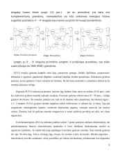 Ultravioletinių spindulių (UV) fototerapija 9 puslapis