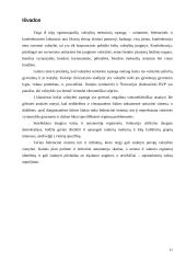 Unitarinė, federacinė, konfederacinė valstybės teritorinė sąranga: skirtumai bei panašumai 10 puslapis