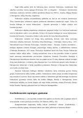 Unitarinė, federacinė, konfederacinė valstybės teritorinė sąranga: skirtumai bei panašumai 6 puslapis