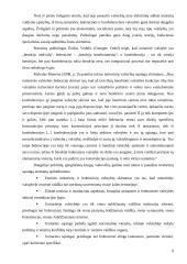 Unitarinė, federacinė, konfederacinė valstybės teritorinė sąranga: skirtumai bei panašumai 8 puslapis