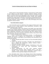 Uosto infrastruktūra ir išsivystimas