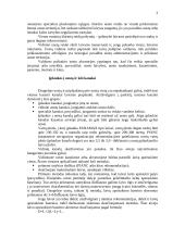 Uosto infrastruktūra ir išsivystimas 3 puslapis