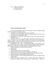 Uosto infrastruktūra ir išsivystimas 4 puslapis