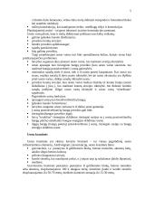 Uosto infrastruktūra ir išsivystimas 5 puslapis