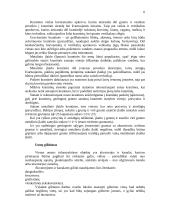 Uosto infrastruktūra ir išsivystimas 6 puslapis