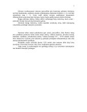 Uosto infrastruktūra ir išsivystimas 7 puslapis