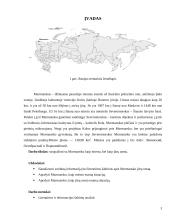 Uosto ir laivybos pagrindai. Murmanskas 3 puslapis