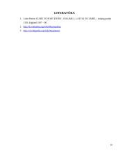 Uosto ir laivybos pagrindai. Murmanskas 10 puslapis