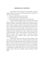 Užimtumas ir nedarbas 2 puslapis