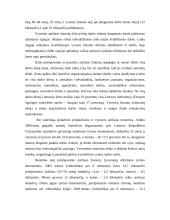 Užimtumas ir nedarbas 11 puslapis