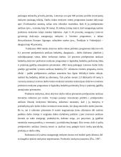 Užimtumas ir nedarbas 13 puslapis