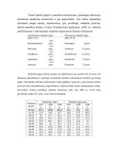 Užimtumas ir nedarbas 3 puslapis