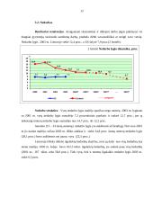 Užimtumo politika Lietuvoje 12 puslapis