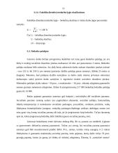 Užimtumo politika Lietuvoje 13 puslapis