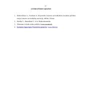 Užimtumo politika Lietuvoje 17 puslapis