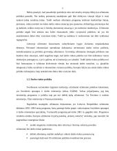 Užimtumo politika Lietuvoje 5 puslapis
