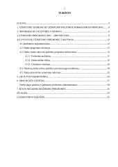 Vyriausybės užimtumo politika Lietuvoje 2 puslapis