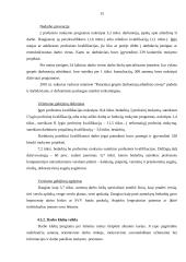 Vyriausybės užimtumo politika Lietuvoje 15 puslapis