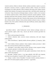 Užimtumo politika Lietuvoje, užimtumo skatinimas bei darbo rinkos valdymas 8 puslapis