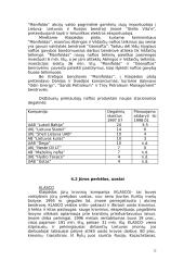 Užsienio investicijos ir jų pritraukimas Lietuvoje 12 puslapis