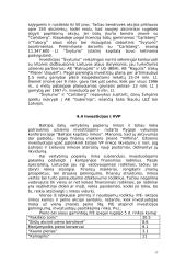 Užsienio investicijos ir jų pritraukimas Lietuvoje 17 puslapis