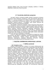 Užsienio investicijos ir jų pritraukimas Lietuvoje 9 puslapis