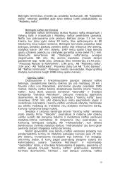 Užsienio investicijos ir jų pritraukimas Lietuvoje 10 puslapis