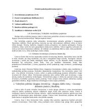 Užsienio investicijos į Lietuvą 6 puslapis